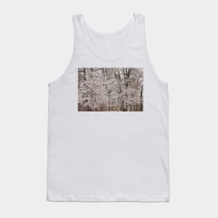 Branches In Ice © Tank Top